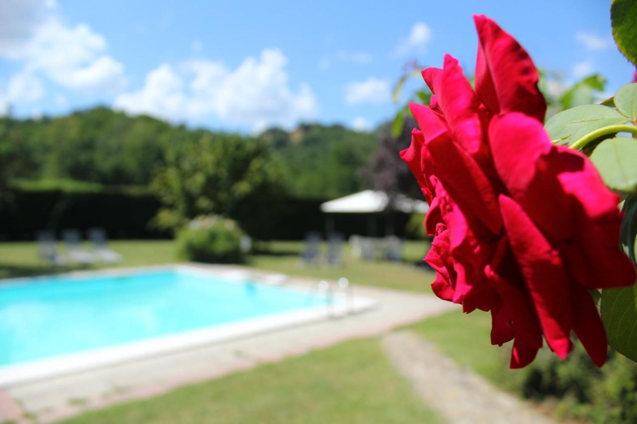 Il Casolare Bed & Breakfast Penna Ngoại thất bức ảnh