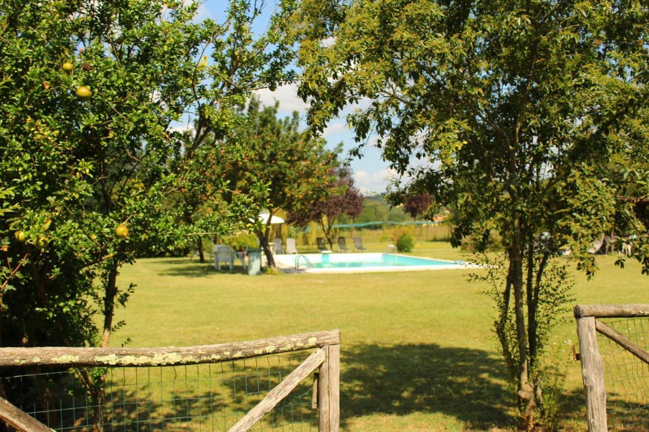 Il Casolare Bed & Breakfast Penna Ngoại thất bức ảnh