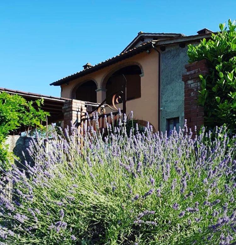 Il Casolare Bed & Breakfast Penna Ngoại thất bức ảnh